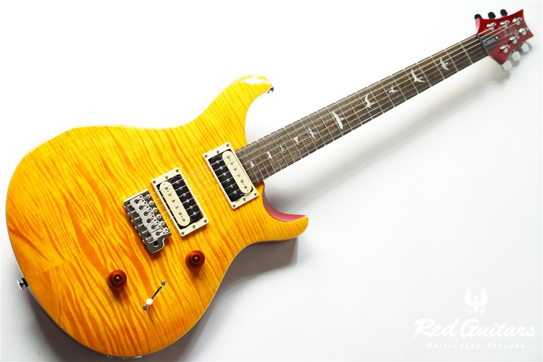 Paul Reed Smith(PRS) SE Custom 24 - VY | Red Guitars Online Store